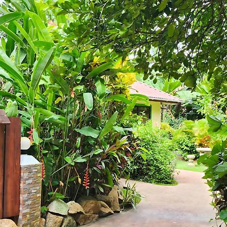 Buisson Guesthouse Ла-Диг Экстерьер фото