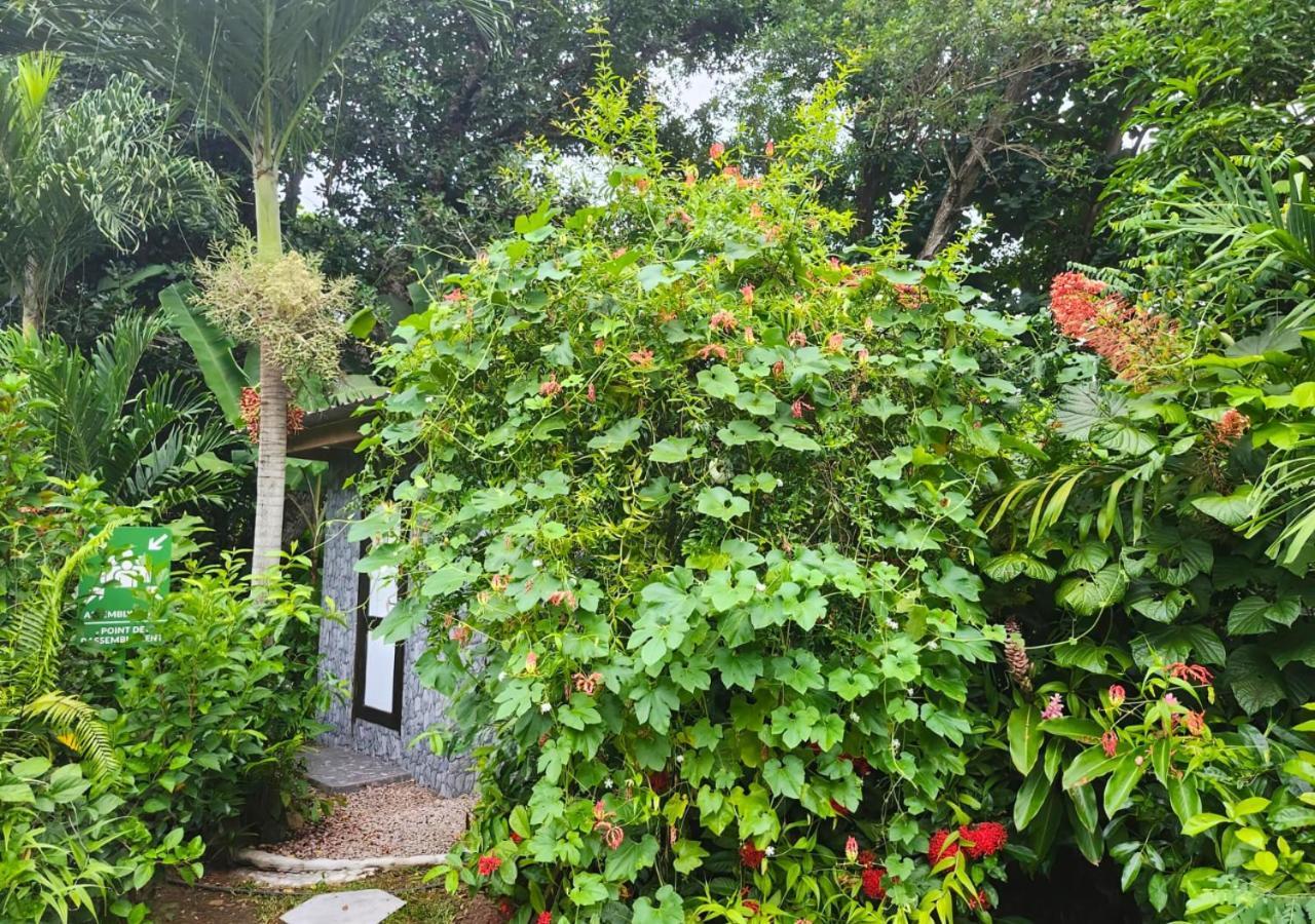 Buisson Guesthouse Ла-Диг Экстерьер фото